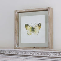 Butterfly Shadow Box