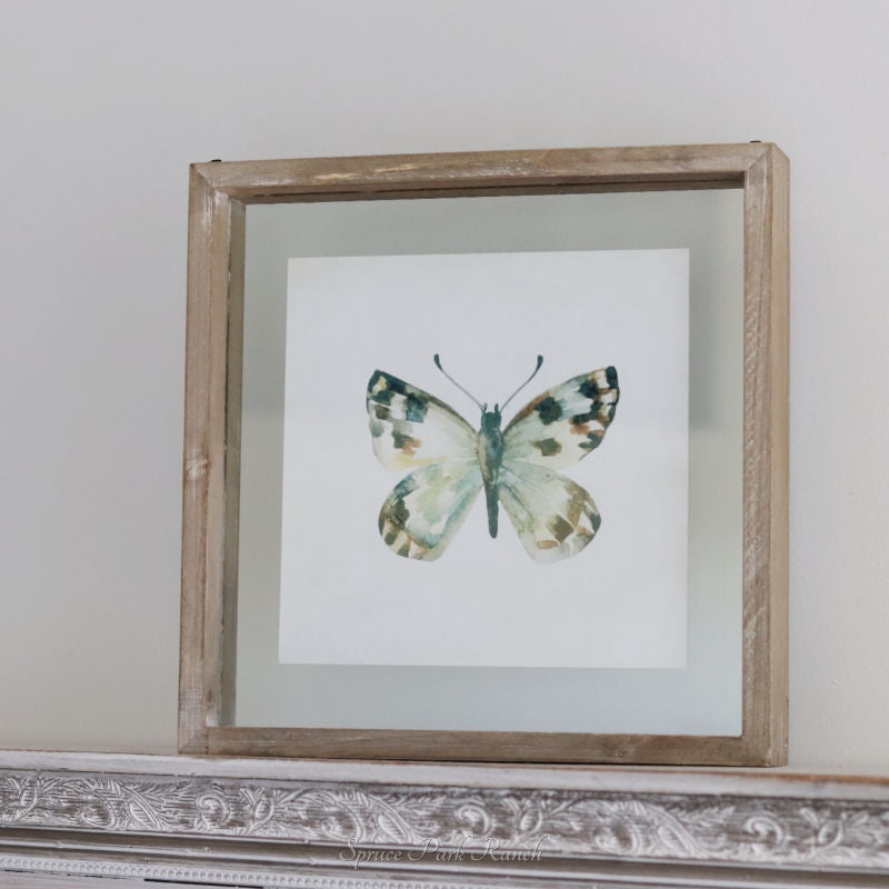 Butterfly Shadow Box