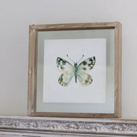 Butterfly Shadow Box