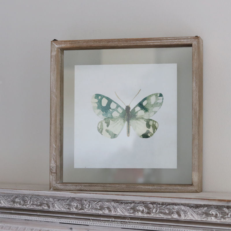 Butterfly Shadow Box