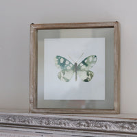 Butterfly Shadow Box