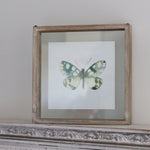 Butterfly Shadow Box