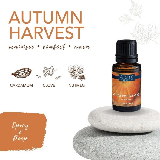 Fall Favourites Airome Essential Oils Gift Set