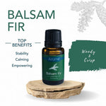 Essential Oils Holiday Blends