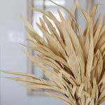 Cream Eva Grass Bush 24"