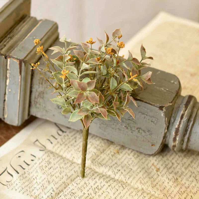Harvest Harmony Bush