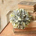 Cape Bay Greenery Collection