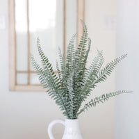 Powdered Fern Bush 20"