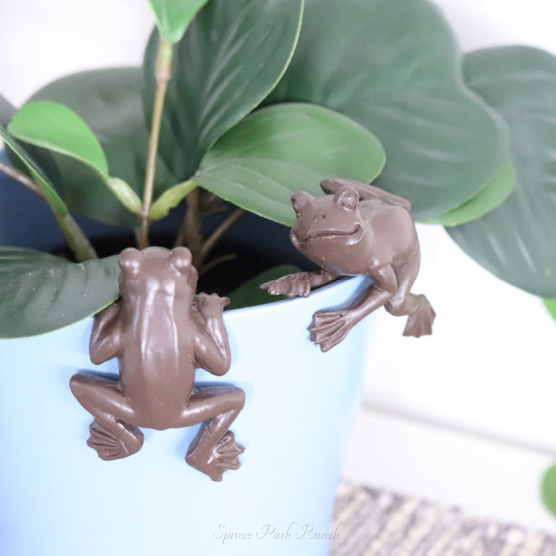 Frog Pot Hugger