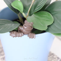 Frog Pot Hugger