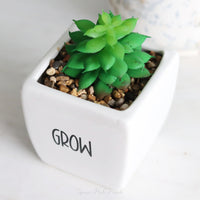 Mini Succulent with Grow Planter