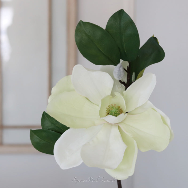 Cream Magnolia Spray 23”