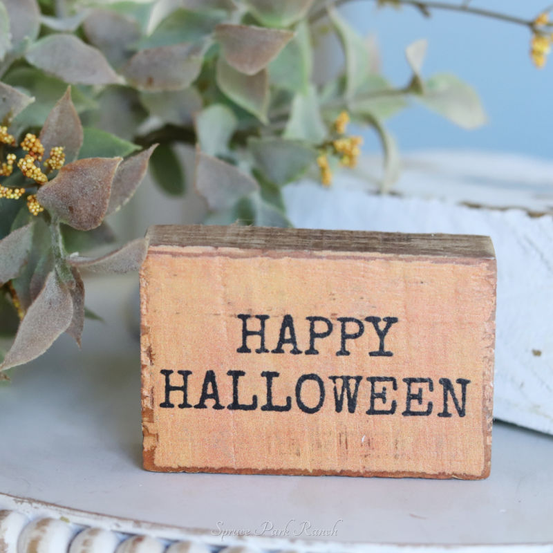 Halloween Mini Block Sign Orange