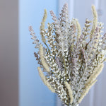 Nature's Yield Cream Bush