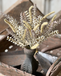 Nature's Yield Cream Bush