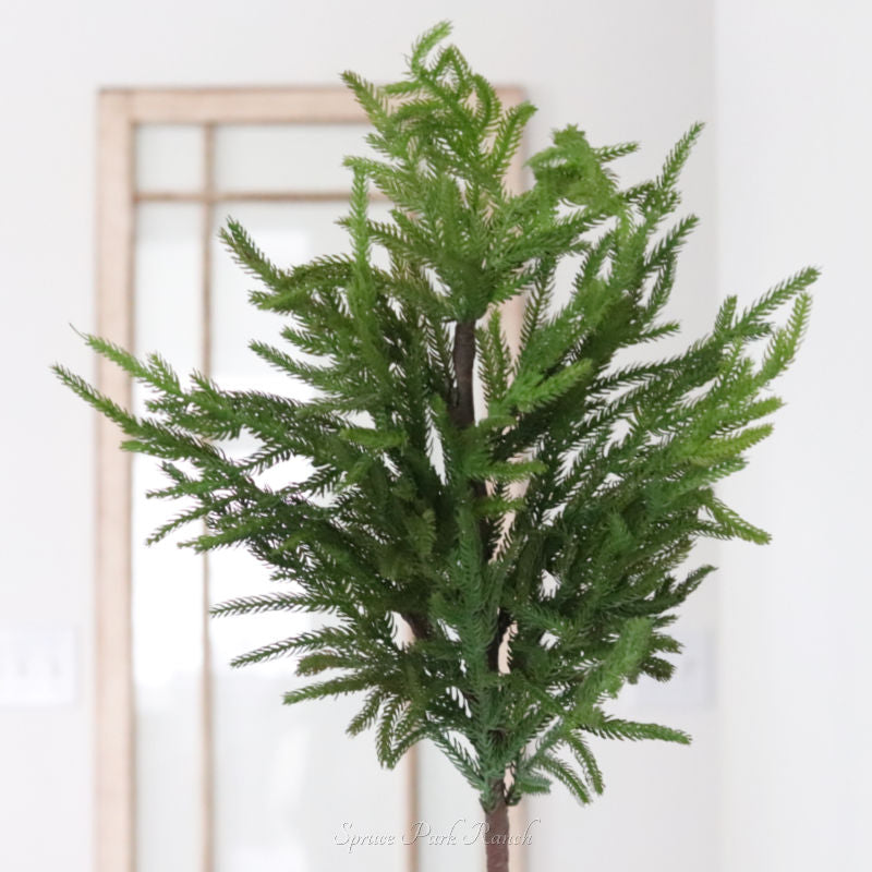 Norfolk Pine Collection Real Touch