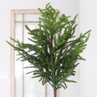 Norfolk Pine Collection Real Touch