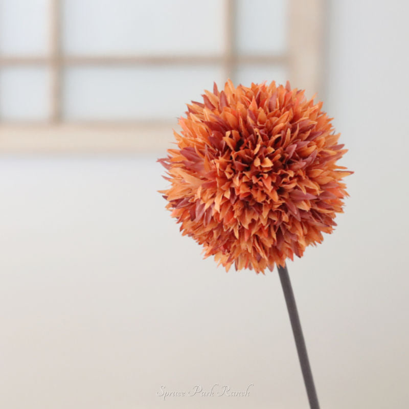 Allium Stem 26" Orange