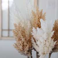 Flocked Pampas Grass Branch 35"