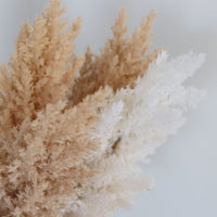 Flocked Pampas Grass Branch 35"