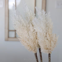 Flocked Pampas Grass Branch 35"