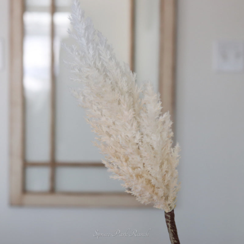 Flocked Pampas Grass Branch 35"