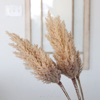 Flocked Pampas Grass Branch 35"