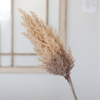 Flocked Pampas Grass Branch 35"