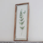 Glass Framed Papyrus Fern Print