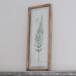 Glass Framed Papyrus Fern Print
