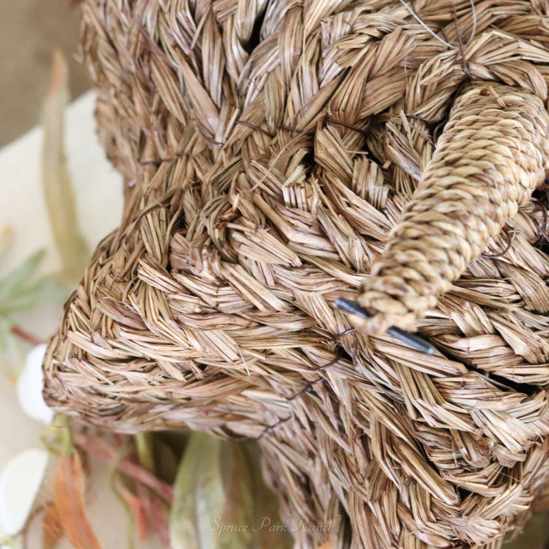 Papyrus Reed Pumpkin