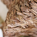 Papyrus Reed Pumpkin