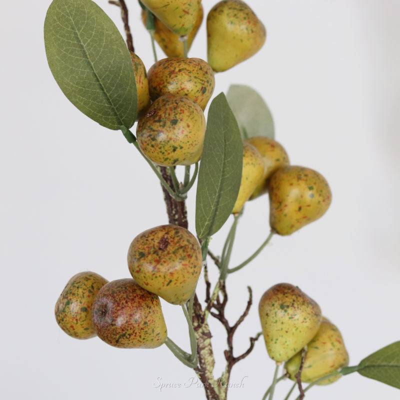 Pear Stem 30”