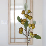Pear Stem 30”