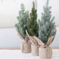 Pine Tree with Burlap Base