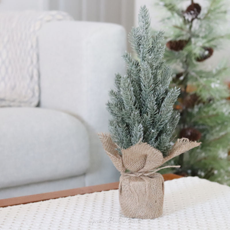 Pine Tree with Burlap Base