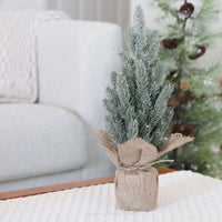 Pine Tree with Burlap Base