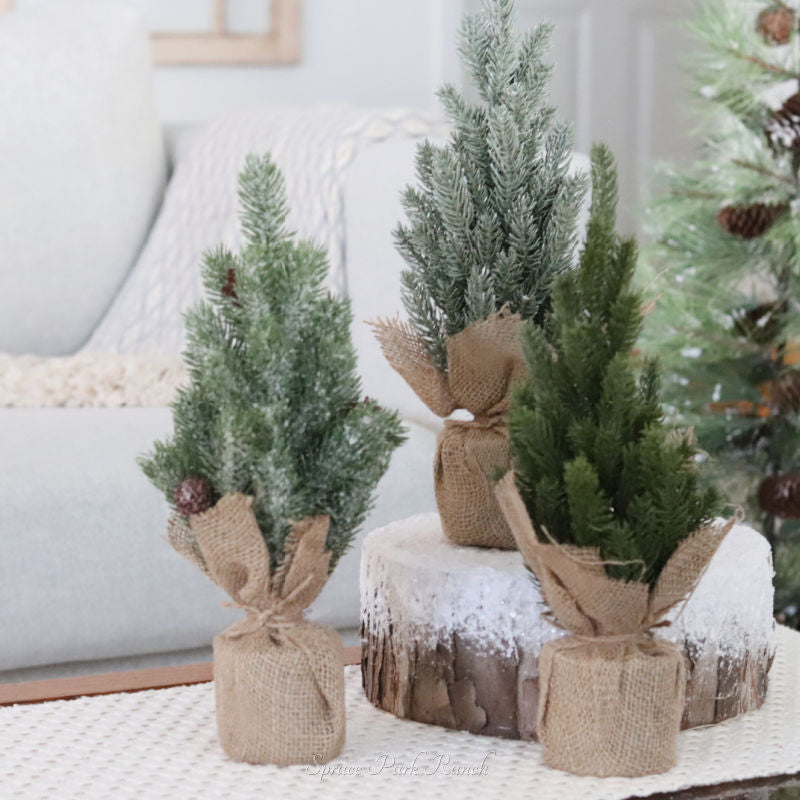 Pine Tree with Burlap Base