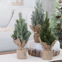 Pine Tree with Burlap Base