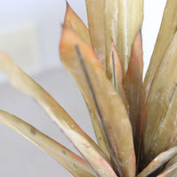 Light Yellow Pineapple Leaves Stem 45.5"