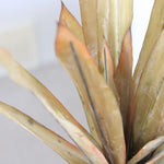 Light Yellow Pineapple Leaves Stem 38"