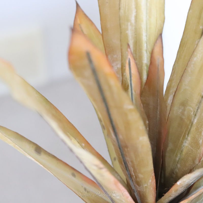Light Yellow Pineapple Leaves Stem 38"