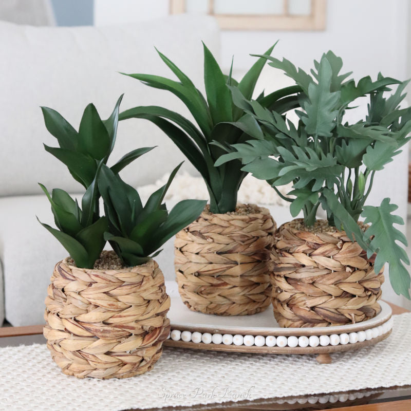 fake plant in woven basket Plant in Woven Basket