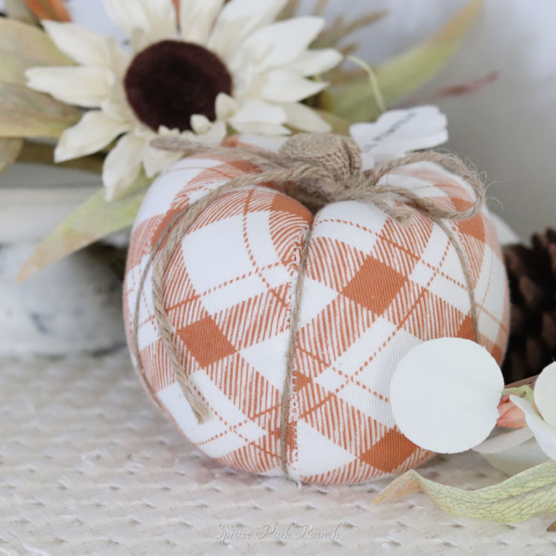 Puffy Lil Pumpkin