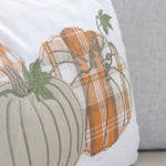 Pumpkin Seed Reversible Pillow
