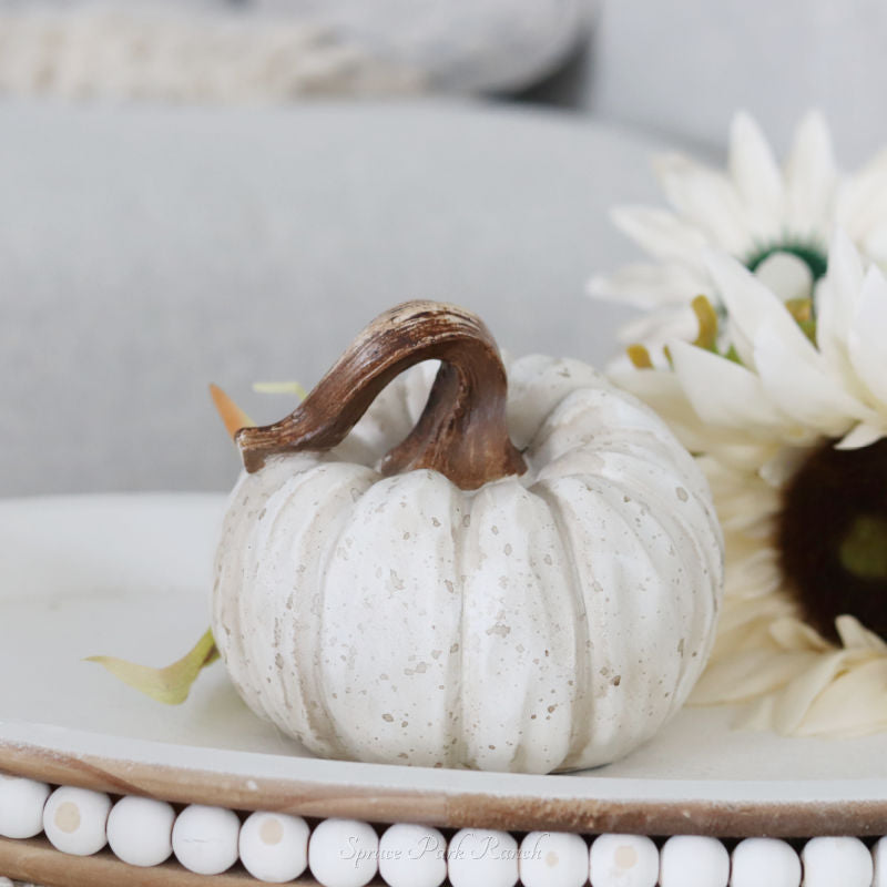 Harvest Pumpkin Medium