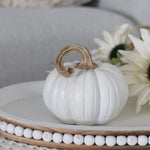 Colourful Harvest Resin Pumpkin
