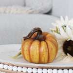 Harvest Pumpkin Medium