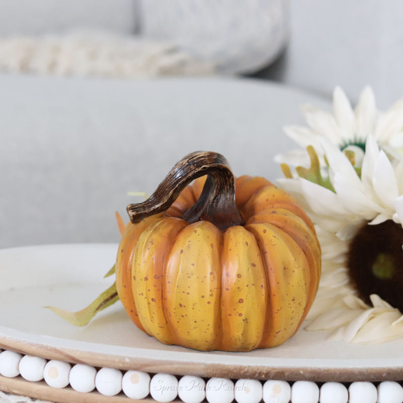 Harvest Pumpkin Medium