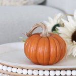 Colourful Harvest Resin Pumpkin